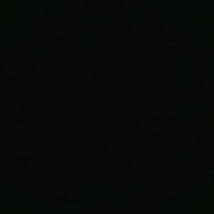 Meet your Posher, Lilia